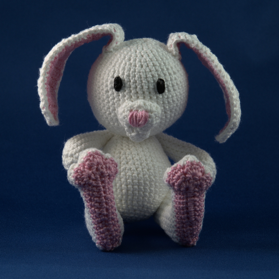Rabbit 1