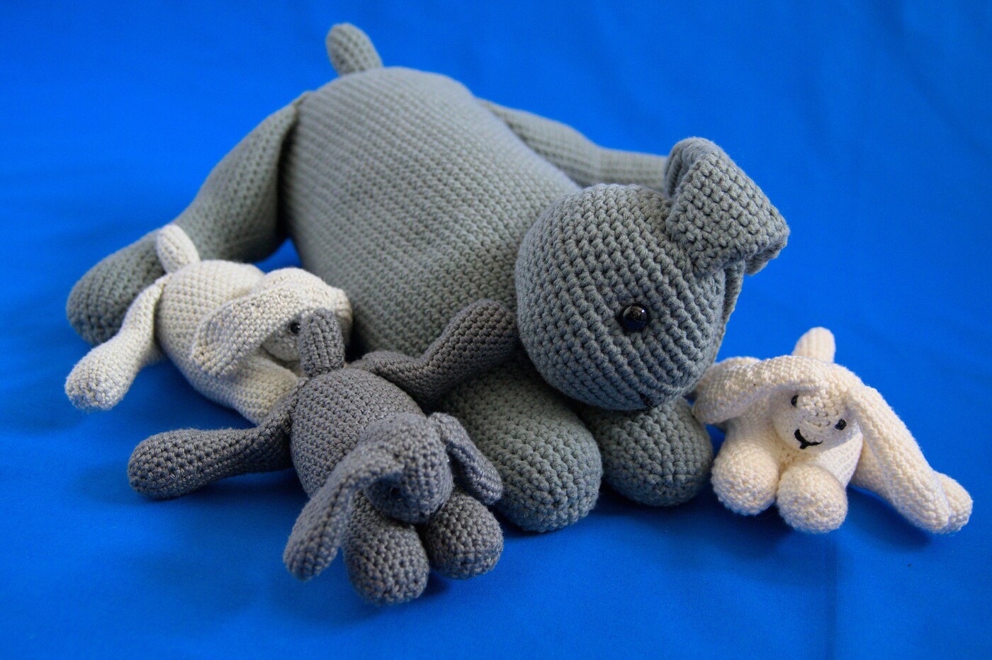 Rabbit 2 front right