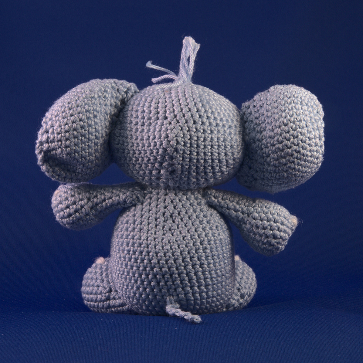 Little elephant back