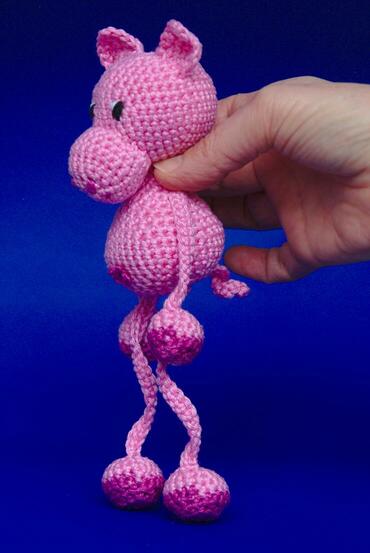 Pig front left standing